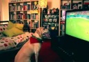 Fanatik Portekizli köpeğin beraberlik golüyle gelen sevinci