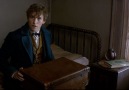 Fantastic Beasts - Announcement Trailer