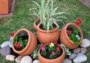 Fantastic Garden Decoration Ideas With Plants And Flowers.