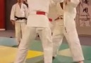 Fantastic Judo