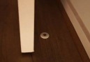 Fantom Doorstop