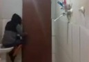 Fareyi Banyodan Kovmaya Çalışan Kedi & Sahibinin ŞEHİRDEN UZAKLAŞIŞI