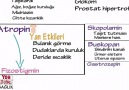 Farmakoloji-Otonom Sinir Sistemi İlaçları-7