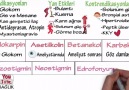 Farmakoloji-Otonom Sinir Sistemi İlaçları-6