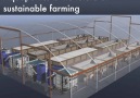 Farming will be revolutionised by this innovation