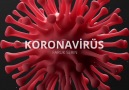 Faruk Serin - Korona Virüs&Karşı Ne Yapılmalı