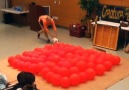 Fastest Time To Pop 100 Balloons By A Dog