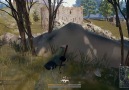 Fast kill 03Battlegrounds PUBGSource