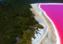 Fast Track Travel and Tourism - Stunning Pink Lake in Australia Facebook