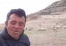 Fatih Asil & Çoban Kayası Tek kelimeyle muhtesem
