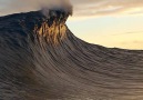 Favourite moment in the ocean this year! Captured in Tahiti