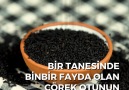 Faydalı olduğunu biliyordum da böyle mucize bir şey olduğunu bilmiyordum