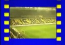 FB TV  Fenerbahçeli Olmak Ne Güzel Bi Şey