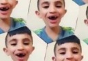 Felek ez bm gelek
