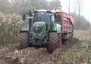 Fendt 824 Action