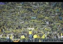 FENERBAHÇE ♥