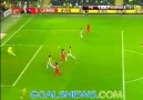 Fenerbahçe 2-1 Manisaspor Macın Golleri