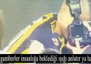 Fenerbahçe - We Rise ❤