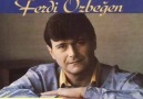 Ferdi Özbeğen - Dilek taşı ( Orijinal plak kayıt )