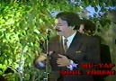 Ferdi Tayfur - Gelirsen ( Canlı Performans)