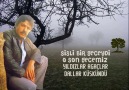 Ferdi Tayfur-Sisli Bir Gece