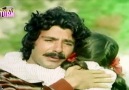 Ferdi Tayfur-Yuvasız Kuşlar(1979)