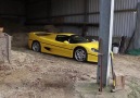 ferrari f50 show