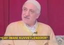 FETÖ'nün sapkınlık ve hezeyanları 1