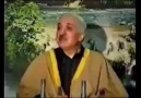 Fetullah Gülen, Peygamberimiz(s.a.v.) gördüm iddiası