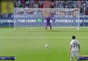 Fifa 16 Bug