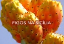 Figos na Siclia