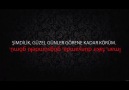 FİLİSTİN İÇİN YAPILAN PARÇA