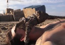 Film For patriots - Yamyam plaj canavarları Facebook