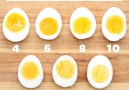 FINALLY! A guide on how to cook the perfect hardboiled eggs !