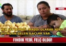 Fındık yedi felç oldu!