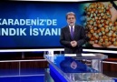 FINDIK YÖNETENLER HARİÇ HERKESİN GÜNDEMİ