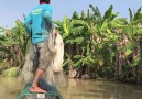 Fisherman vs River Monsters
