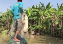 Fisherman vs River Monsters