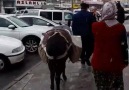 Flaş bunuda gördük heybe ve EŞEKLE Marketten alışveriş taşırken..