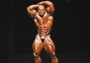 Flex Wheeler ...The Best Ever