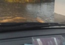 Flood in Komotini