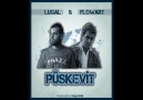 FlowArt & Lugal - Püskevit