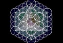 Flower of Life - Flower of Life & Metatron&Cube birthing...