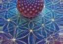 Flower of Life - Holographic Flower of Life Facebook