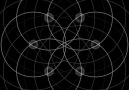 Flower of Life - &quotThe primary and most beautiful of...