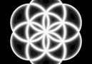 Flower of Life - Seed of life...