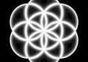 Flower of Life - Seed of life...