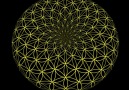 Flower of Life - Torus of life...