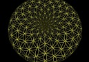 Flower of Life - Torus of life...