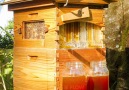 Flow Hive: Honey on Tap Directly From Your Beehive